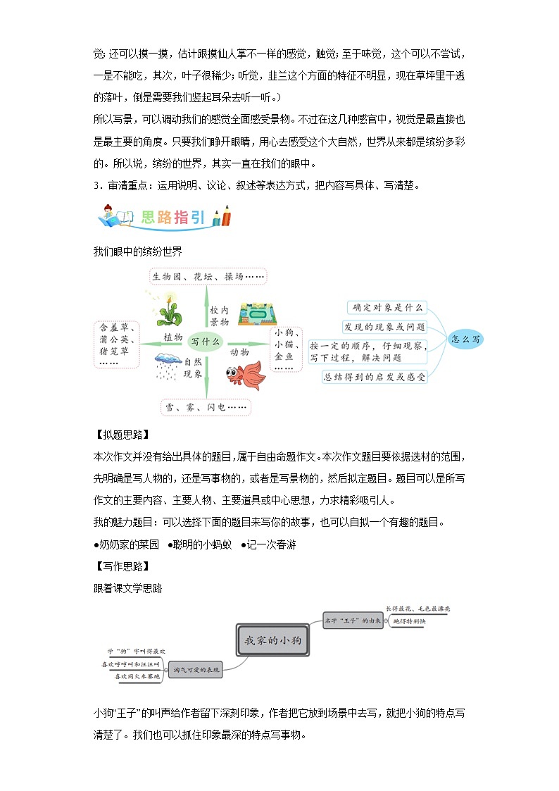 部编版语文三年级上册第5单元同步作文：我们眼中的缤纷世界 写作指导范文赏析病文升格 试卷02
