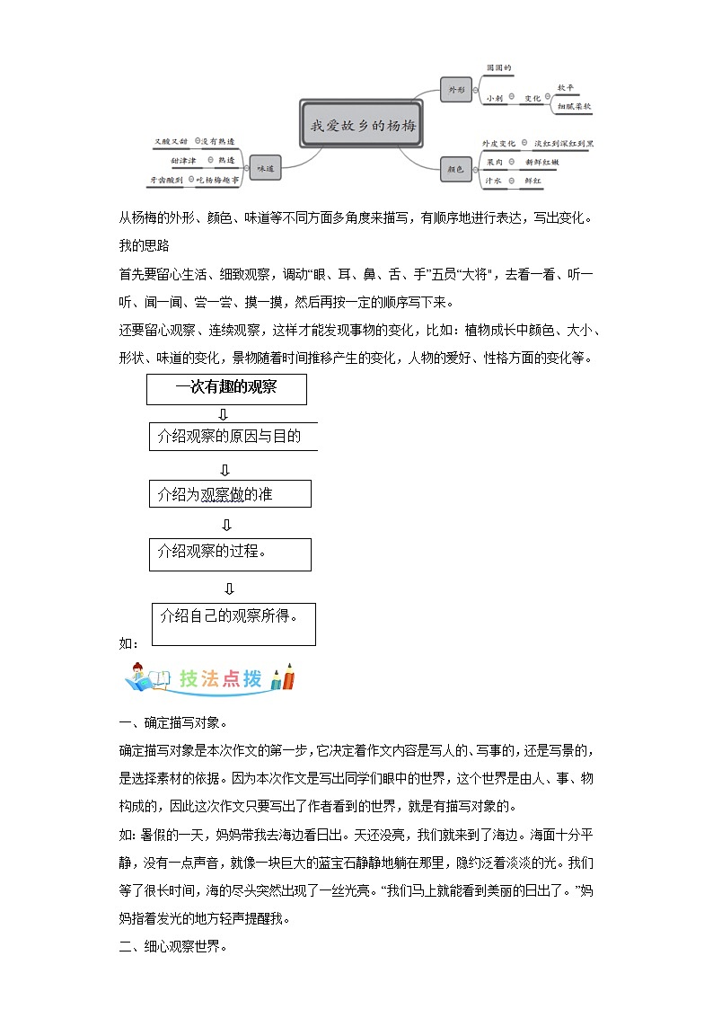 部编版语文三年级上册第5单元同步作文：我们眼中的缤纷世界 写作指导范文赏析病文升格 试卷03