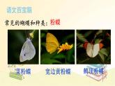 部编版语文四年级上册 8 蝴蝶的家 课件