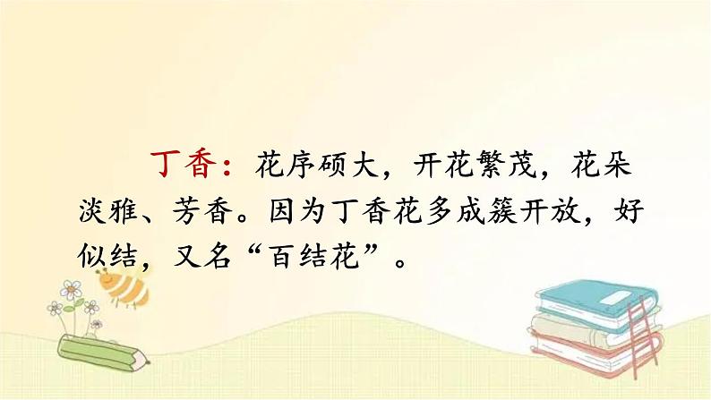 部编版语文六年级上册 2 丁香结 课件第3页