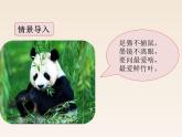 小学语文部编版（五四制）三年级下册 第七单元 习作：国宝大熊猫 配套课件2