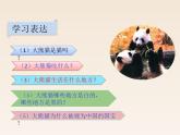 小学语文部编版（五四制）三年级下册 第七单元 习作：国宝大熊猫 配套课件2
