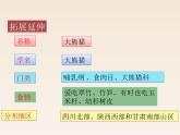 小学语文部编版（五四制）三年级下册 第七单元 习作：国宝大熊猫 配套课件2