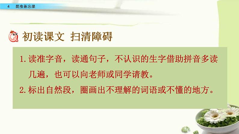 小学语文人教部编版（五四制）三年级下册 第一单元 4 昆虫备忘录 配套课件105