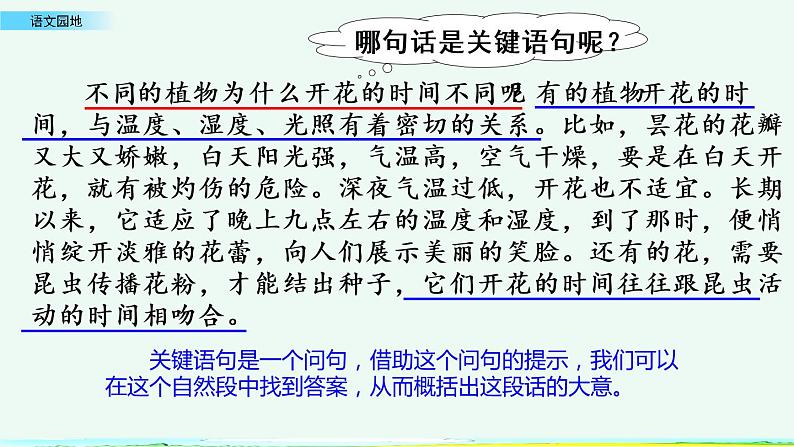 小学语文部编版（五四制）三年级下册 第四单元 语文园地 课件第5页