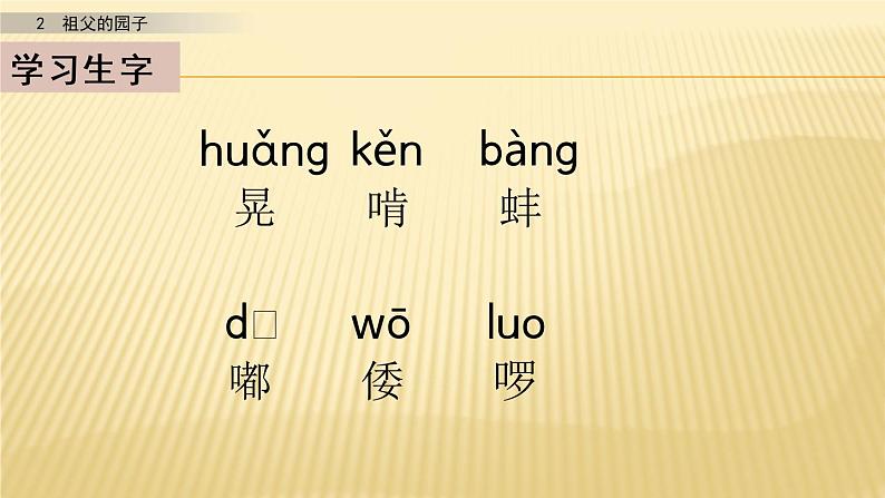 小学语文人教部编版（五四制）五年级下册 第一单元 3 祖父的园子 第一课时 配套课件2第5页