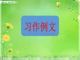 小学语文部编版（五四制）三年级下册 第五单元 习作例文 配套课件1