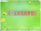 小学语文部编版（五四制）三年级下册 第五单元 习作例文 配套课件1