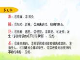小学语文人教部编版（五四制）五年级下册 第五单元复习 课件