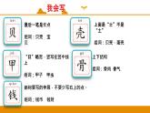 二年级下册 课件 识字 3 贝的故事 小学语文人教部编版
