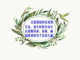 三上15搭船的鸟课件