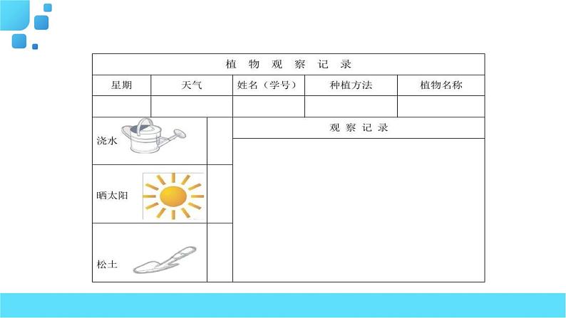 部编语文三年级下册习作：我的植物朋友课件06