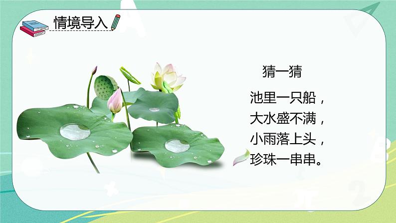 语文部编版一年级下册第六单元第13课《荷叶圆圆》课件02
