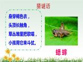 10 在牛肚子里旅行PPT+素材