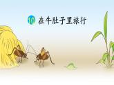 10 在牛肚子里旅行PPT+素材