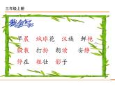 三上1大青树下的小学 课件
