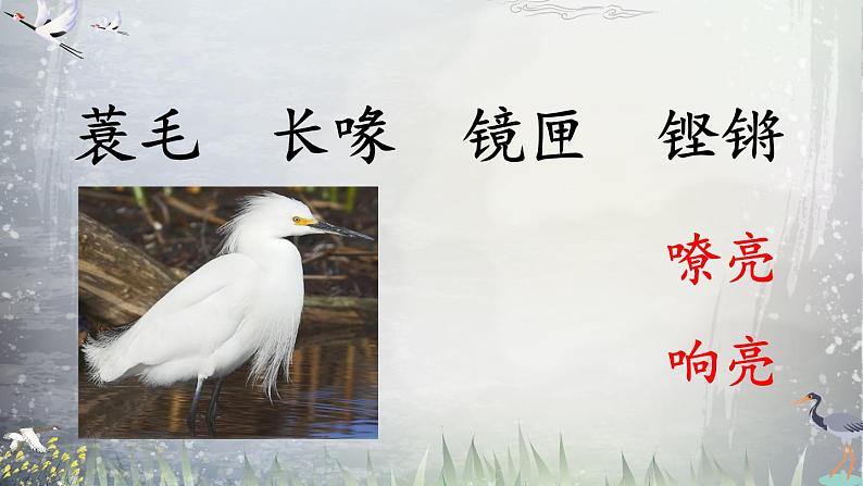 五上 1 白鹭 课件第2页