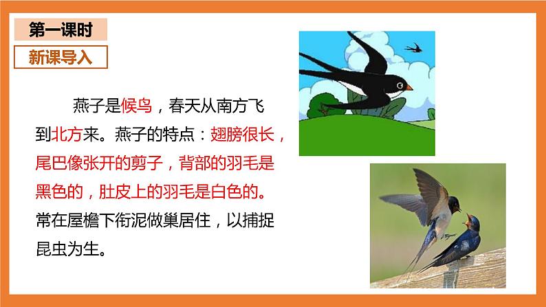 统编版3下语文 2《燕子》课件+教案+练习+素材03