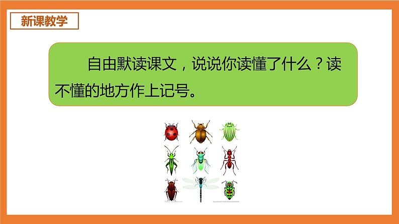统编版3下语文 4《昆虫备忘录》课件+教案+练习+素材04