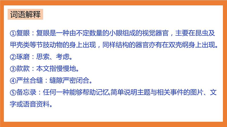 统编版3下语文 4《昆虫备忘录》课件+教案+练习+素材07