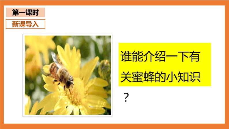统编版3下语文 14《蜜蜂》课件+教案+练习+素材03