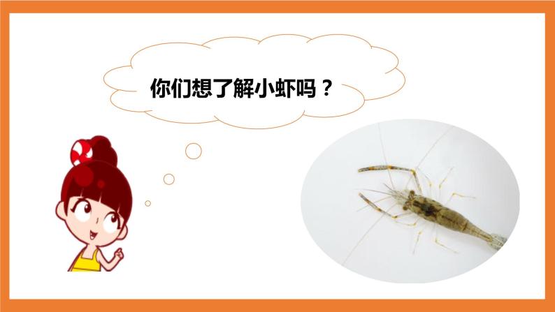 人教部编版三年级下册第四单元15* 小虾评优课ppt课件-教习网|课件