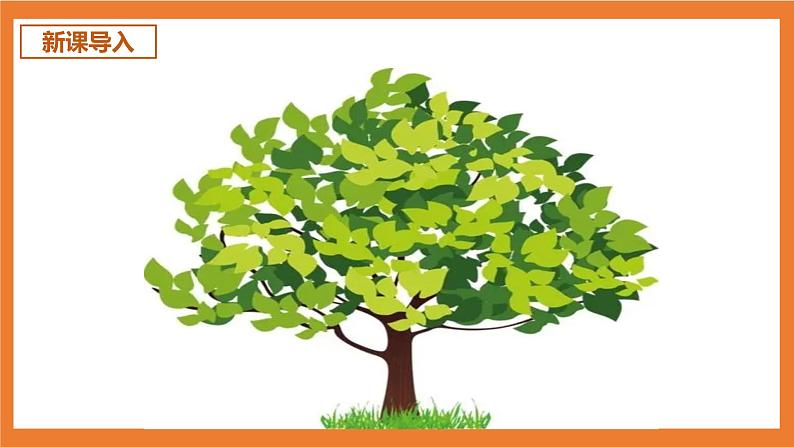 统编版3下语文 17《我变成了一棵树》课件+教案+练习+素材03