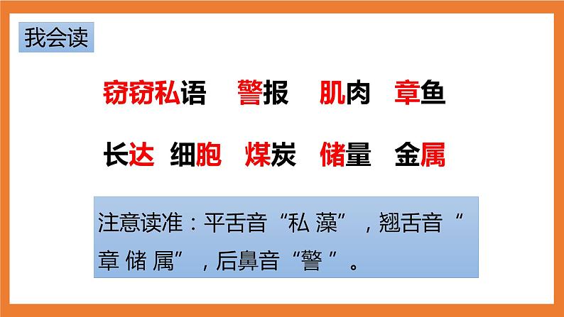 统编版3下语文 23《海底世界》课件+教案+练习+素材05
