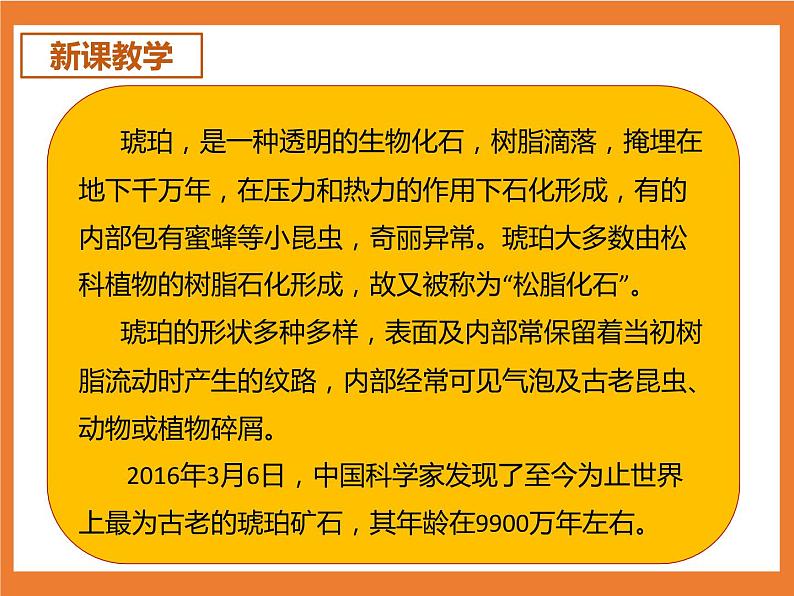 统编版4下语文 5《琥珀》课件第4页
