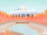 统编版4下语文 11《白桦》课件+教案+练习+素材