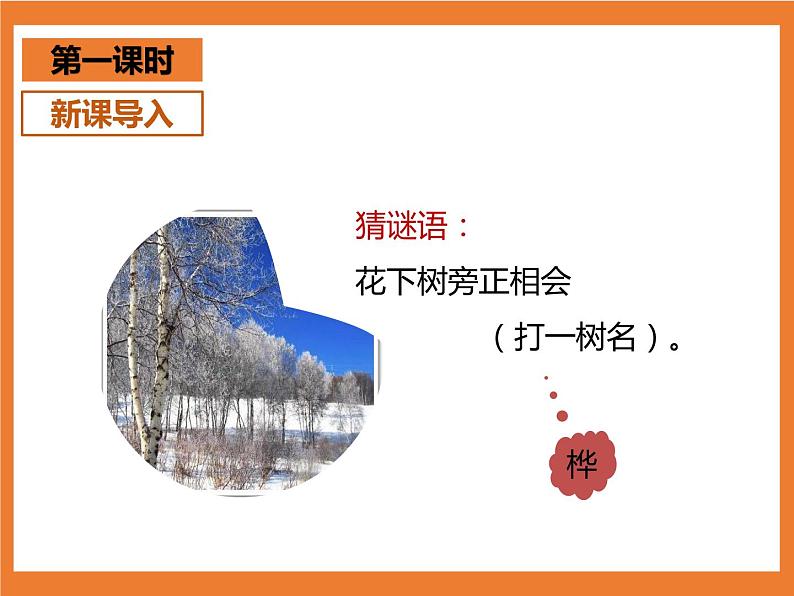 统编版4下语文 11《白桦》课件+教案+练习+素材03