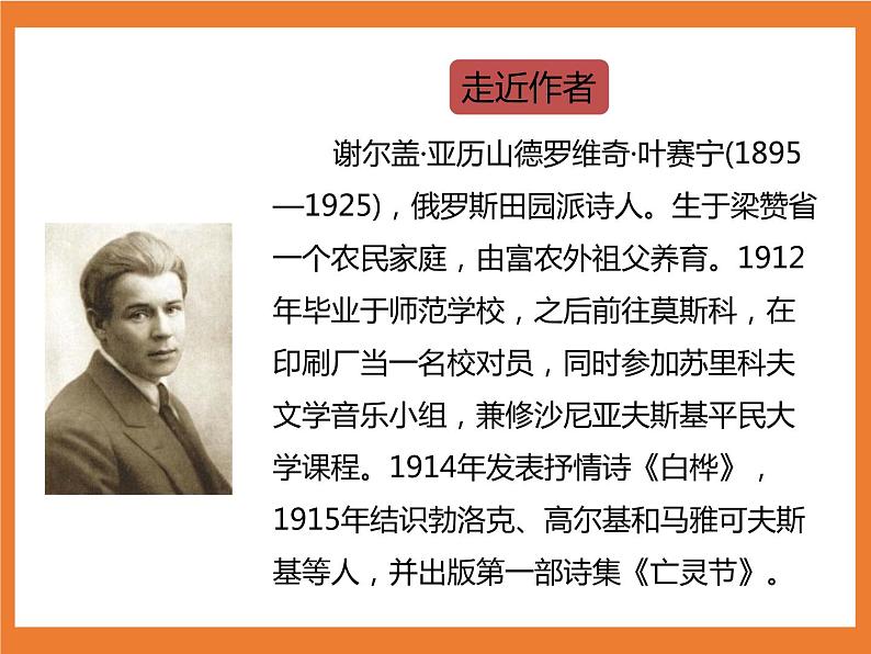 统编版4下语文 11《白桦》课件+教案+练习+素材05