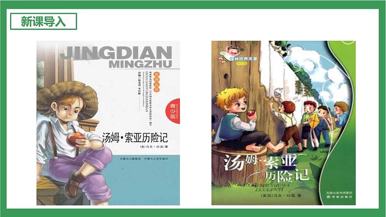 统编版6下语文 7《汤姆·索亚历险记(节选)》课件+教案+练习+素材03