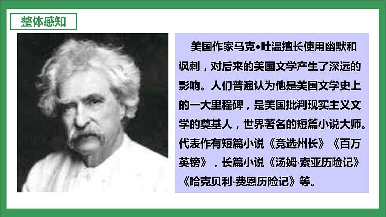 统编版6下语文 7《汤姆·索亚历险记(节选)》课件+教案+练习+素材04