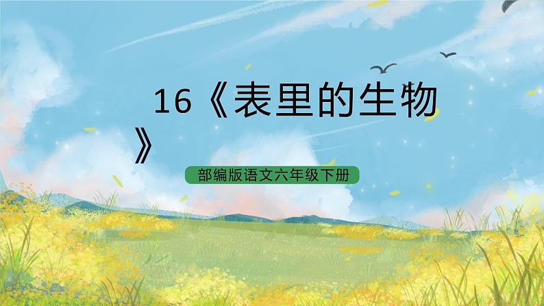 统编版6下语文 16《表里的生物》课件+教案+练习+素材01