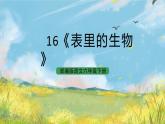 统编版6下语文 16《表里的生物》课件+素材（送教案练习）