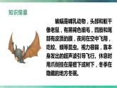 6.夜间飞行的秘密 课件