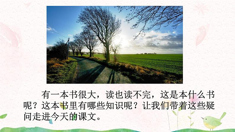 22《读不完的大书》第二课时课件+教案04