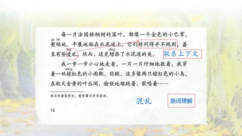 小学语文 部编版 三年级 铺满金色巴掌的水泥道（第二课时）课件06