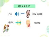 小学语文 部编版 四年级《夜间飞行的秘密》第二课时 课件