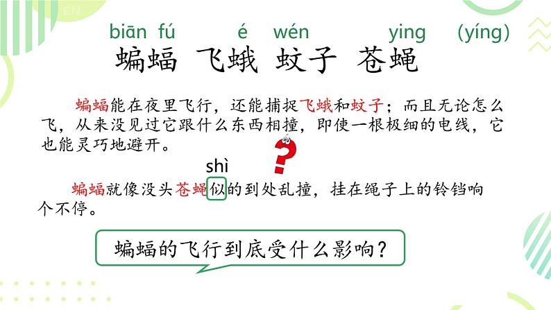 小学语文 部编版 四年级《夜间飞行的秘密》第一课时 课件第6页