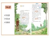 小学语文 部编版 四年级上册 第五单元《习作例文》《我家的杏熟了》《小木船》 课件