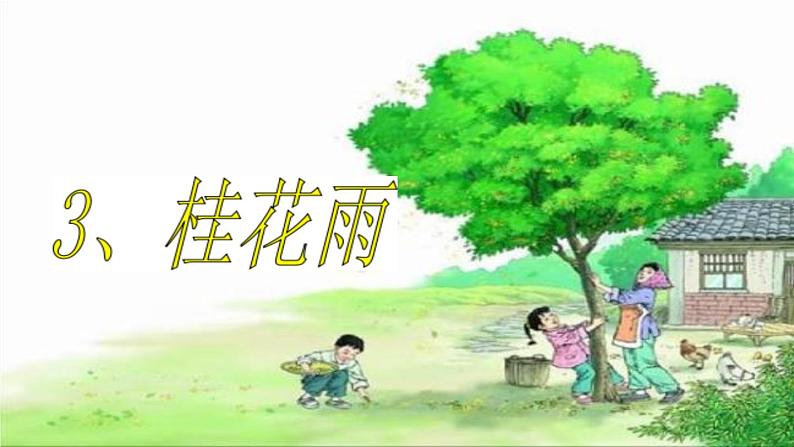 五年级上册语文人教部编版 3.桂花雨  课件01