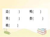 部编版语文一年级上册 7 大小多少  课件