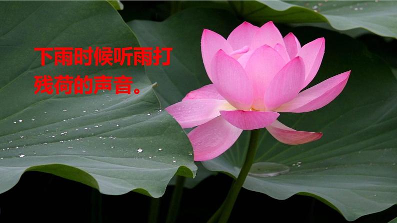 16 金色的草地PPT+素材02