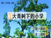 01 大青树下的小学PPT+素材