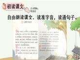 01 大青树下的小学PPT+素材
