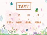 18《富饶的的西沙群岛》第二课时课件+教案