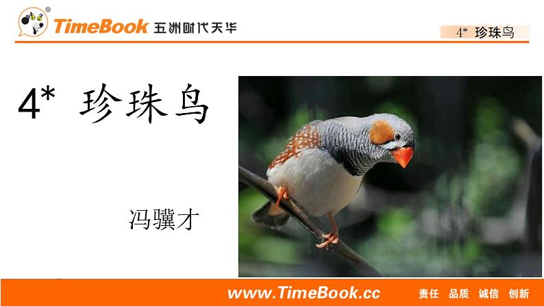 部编版五年级语文上册珍珠鸟课件第1页