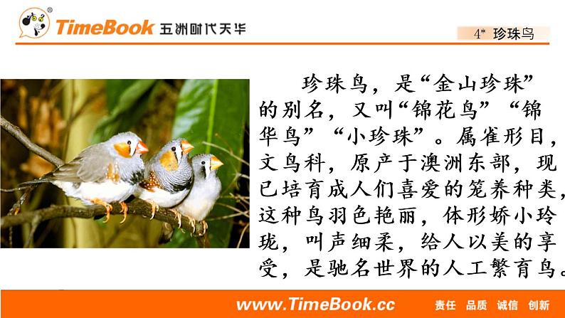 部编版五年级语文上册珍珠鸟课件第2页